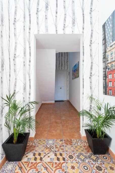 Sunnyland Teresitas 2 Apartamento *